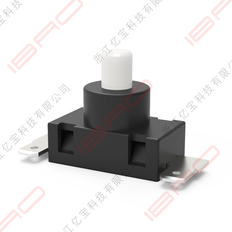 PAQϵ�� С�Ͱ�ť���� ����/�����ֵ�Ͳ��Դ����